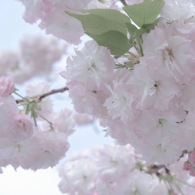 玉溪FurryQQ群介绍